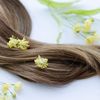 (P) 	Cum să &icirc;ți &icirc;ngrijești scalpul și părul: obiceiuri și ingrediente cosmetice