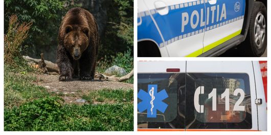 Un bărbat de 55 de ani a fost ucis de urs in Brașov. Ce s-a întâmplat cu soția victimei