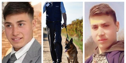 Ionuț, ciobanul de 19 ani dispărut după ce a plecat cu oile, a fost găsit! Anunțul făcut de primar: „S-a întors acasă!”