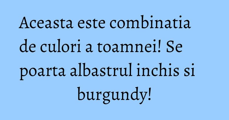 Aceasta este combinatia de culori a toamnei! Se poarta albastrul inchis si burgundy!