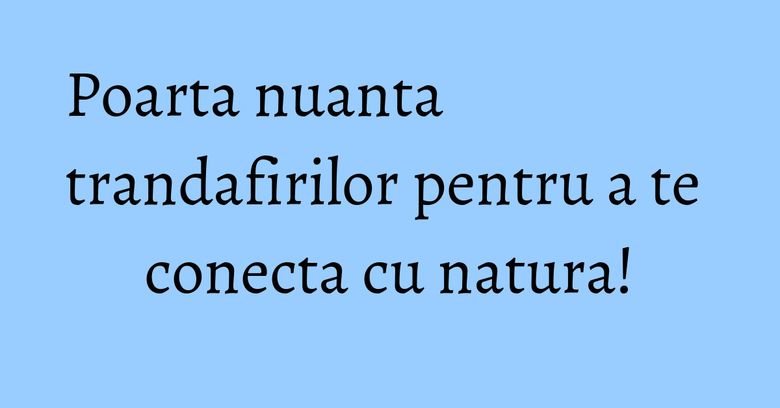 Poarta nuanta trandafirilor pentru a te conecta cu natura!