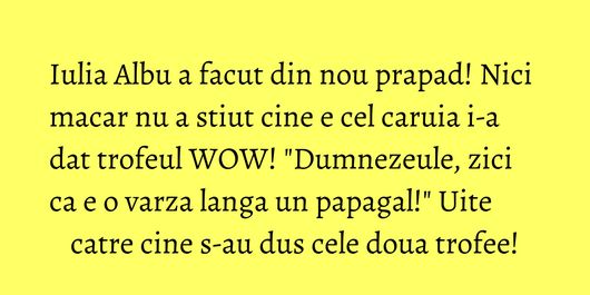 Iulia Albu a facut din nou prapad! Nici macar nu a stiut cine e cel caruia i-a dat trofeul WOW! 