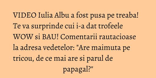 VIDEO Iulia Albu a fost pusa pe treaba! Te va surprinde cui i-a dat trofeele WOW si BAU! Comentarii rautacioase la adresa vedetelor: 