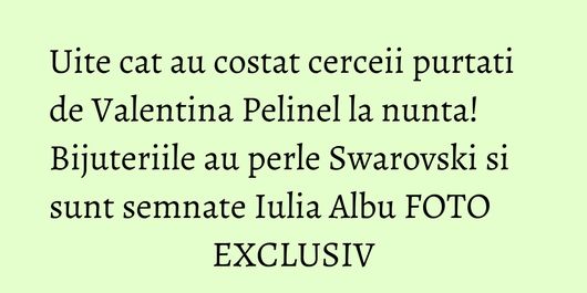 Uite cat au costat cerceii purtati de Valentina Pelinel la nunta! Bijuteriile au perle Swarovski si sunt semnate Iulia Albu FOTO EXCLUSIV