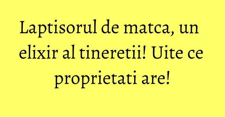 Laptisorul de matca, un elixir al tineretii! Uite ce proprietati are! Laptisorul de matca, un elixir al tineretii! Uite ce proprietati are!