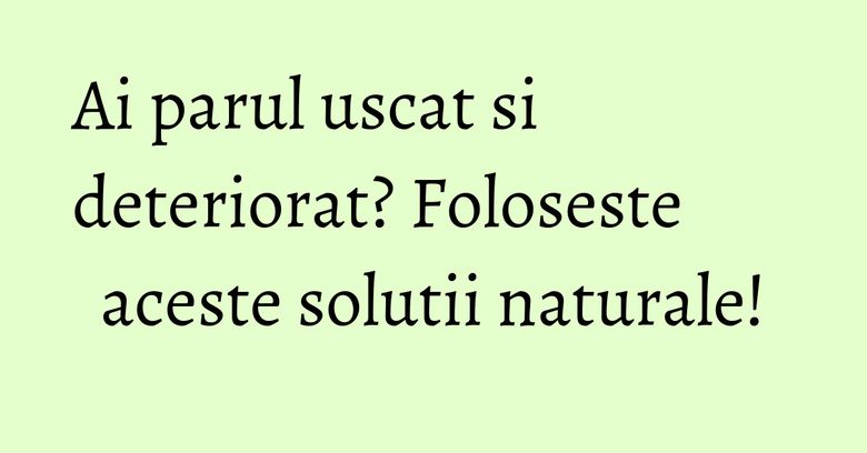 Ai parul uscat si deteriorat? Foloseste aceste solutii naturale! Ai parul uscat si deteriorat? Foloseste aceste solutii naturale!