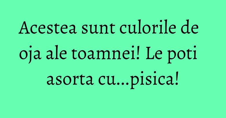 Acestea sunt culorile de oja ale toamnei! Le poti asorta cu...pisica!