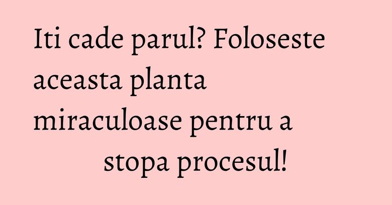 Iti cade parul? Foloseste aceasta planta miraculoase pentru a stopa procesul! Iti cade parul? Foloseste aceasta planta miraculoase pentru a stopa procesul!