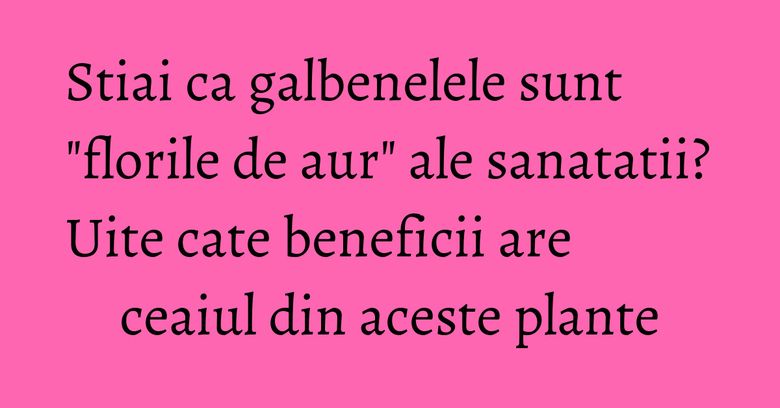 Stiai ca galbenelele sunt "florile de aur" ale sanatatii? Uite cate beneficii are ceaiul din aceste plante Stiai ca galbenelele sunt "florile de aur" ale sanatatii? Uite cate beneficii are ceaiul din aceste plante