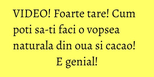 VIDEO! Foarte tare! Cum poti sa-ti faci o vopsea naturala din oua si cacao! E genial!
