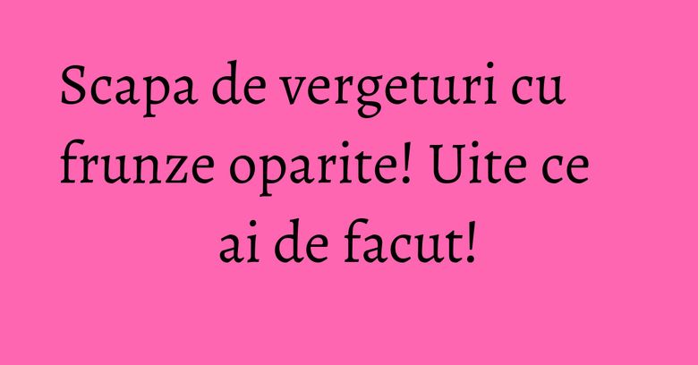 Scapa de vergeturi cu frunze oparite! Uite ce ai de facut! Scapa de vergeturi cu frunze oparite! Uite ce ai de facut!