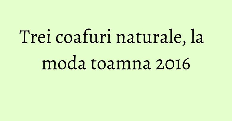Trei coafuri naturale, la moda toamna 2016 Trei coafuri naturale, la moda toamna 2016