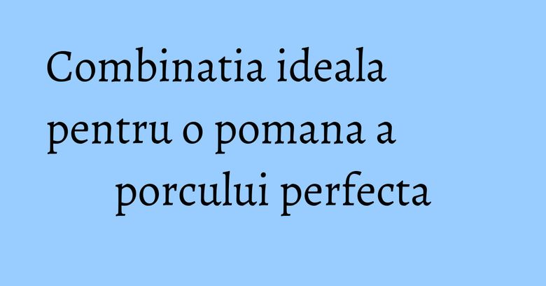 Combinatia ideala pentru o pomana a porcului perfecta Combinatia ideala pentru o pomana a porcului perfecta
