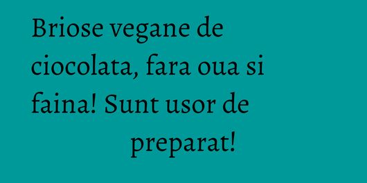 Briose vegane de ciocolata, fara oua si faina! Sunt usor de preparat!