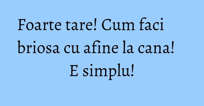 Foarte tare! Cum faci briosa cu afine la cana! E simplu!