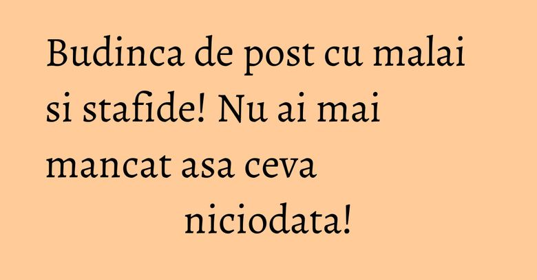 Budinca de post cu malai si stafide! Nu ai mai mancat asa ceva niciodata! Budinca de post cu malai si stafide! Nu ai mai mancat asa ceva niciodata!