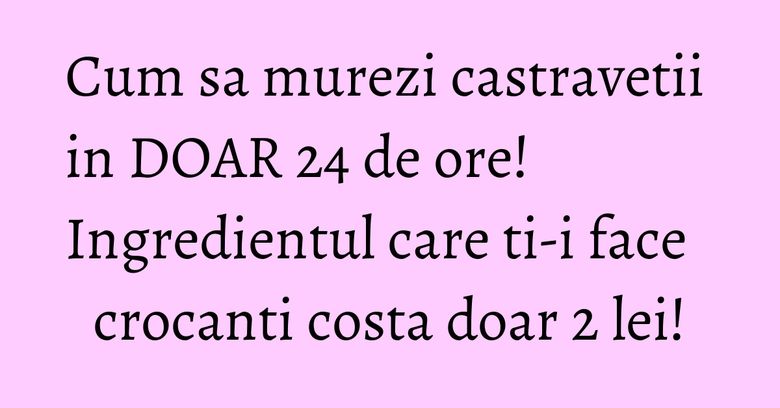 Cum sa murezi castravetii in DOAR 24 de ore! Ingredientul care ti-i face crocanti costa doar 2 lei!