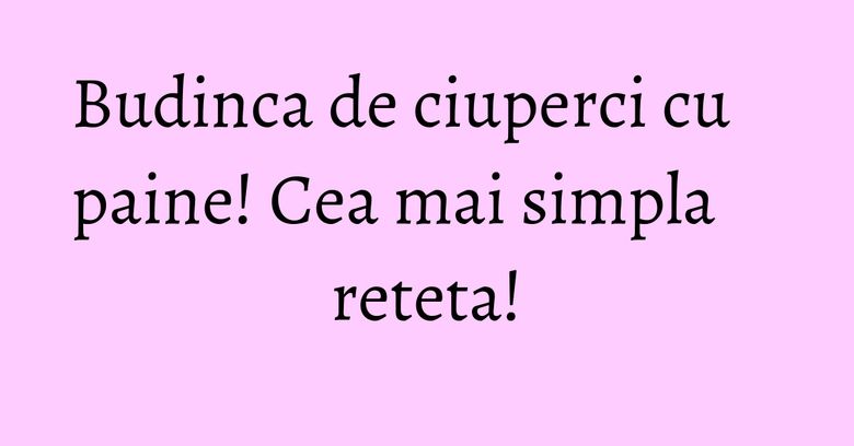 Budinca de ciuperci cu paine! Cea mai simpla reteta!