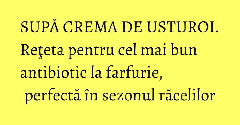 SUPĂ CREMA DE USTUROI. Reţeta pentru cel mai bun antibiotic la farfurie, perfectă în sezonul răcelilor
