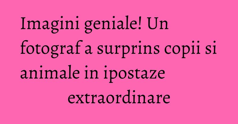 Imagini geniale! Un fotograf a surprins copii si animale in ipostaze extraordinare Imagini geniale! Un fotograf a surprins copii si animale in ipostaze extraordinare