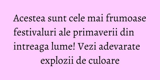 Acestea sunt cele mai frumoase festivaluri ale primaverii din intreaga lume! Vezi adevarate explozii de culoare