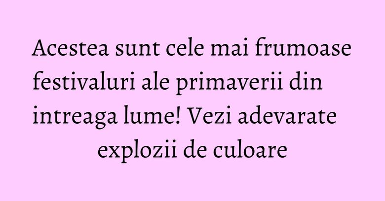 Acestea sunt cele mai frumoase festivaluri ale primaverii din intreaga lume! Vezi adevarate explozii de culoare Acestea sunt cele mai frumoase festivaluri ale primaverii din intreaga lume! Vezi adevarate explozii de culoare