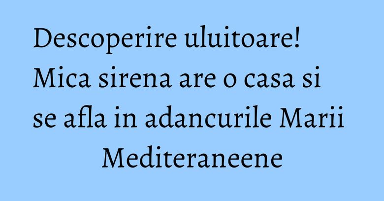 Descoperire uluitoare! Mica sirena are o casa si se afla in adancurile Marii Mediteraneene Descoperire uluitoare! Mica sirena are o casa si se afla in adancurile Marii Mediteraneene