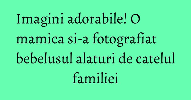 Imagini adorabile! O mamica si-a fotografiat bebelusul alaturi de catelul familiei Imagini adorabile! O mamica si-a fotografiat bebelusul alaturi de catelul familiei