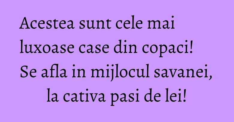Acestea sunt cele mai luxoase case din copaci! Se afla in mijlocul savanei, la cativa pasi de lei! Acestea sunt cele mai luxoase case din copaci! Se afla in mijlocul savanei, la cativa pasi de lei!