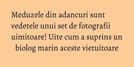 Meduzele din adancuri sunt vedetele unui set de fotografii uimitoare! Uite cum a suprins un biolog marin aceste vietuitoare