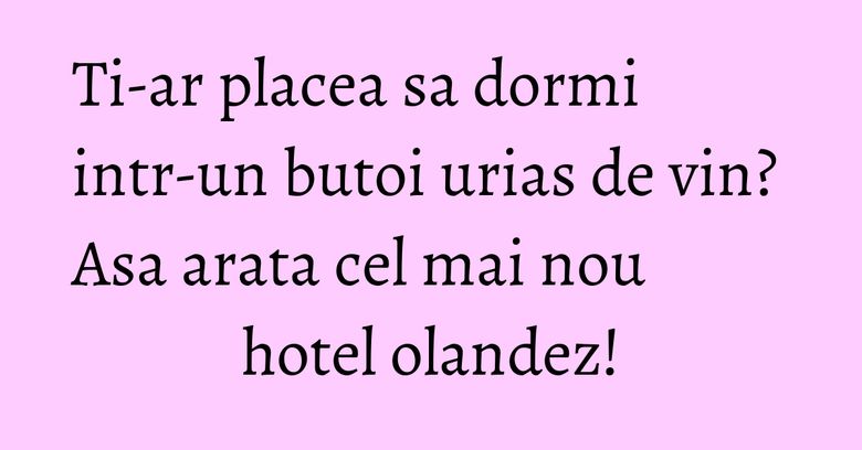 Ti-ar placea sa dormi intr-un butoi urias de vin? Asa arata cel mai nou hotel olandez! Ti-ar placea sa dormi intr-un butoi urias de vin? Asa arata cel mai nou hotel olandez!