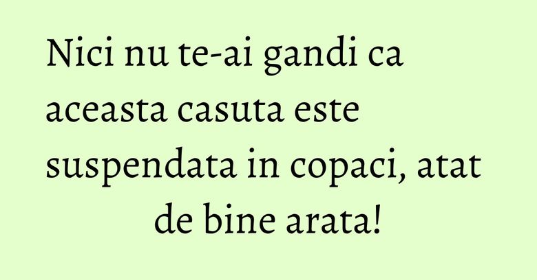 Nici nu te-ai gandi ca aceasta casuta este suspendata in copaci, atat de bine arata!