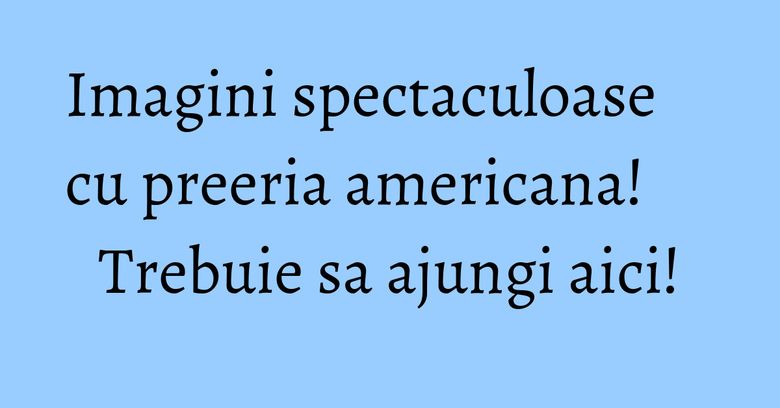 Imagini spectaculoase cu preeria americana! Trebuie sa ajungi aici! Imagini spectaculoase cu preeria americana! Trebuie sa ajungi aici!
