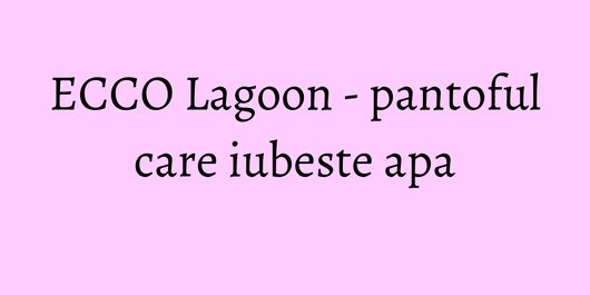 ECCO Lagoon - pantoful care iubeste apa