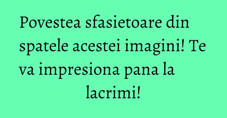 Povestea sfasietoare din spatele acestei imagini! Te va impresiona pana la lacrimi! Povestea sfasietoare din spatele acestei imagini! Te va impresiona pana la lacrimi!