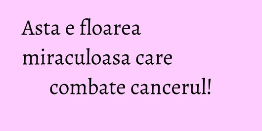 Asta e floarea miraculoasa care combate cancerul!