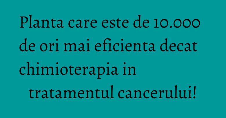 Planta care este de 10.000 de ori mai eficienta decat chimioterapia in tratamentul cancerului!