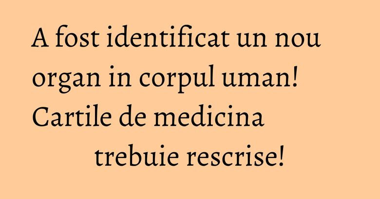 A fost identificat un nou organ in corpul uman! Cartile de medicina trebuie rescrise! A fost identificat un nou organ in corpul uman! Cartile de medicina trebuie rescrise!