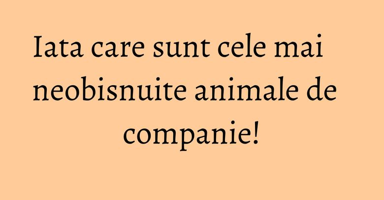 Iata care sunt cele mai neobisnuite animale de companie! Iata care sunt cele mai neobisnuite animale de companie!