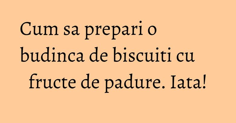 Cum sa prepari o budinca de biscuiti cu fructe de padure. Iata! Cum sa prepari o budinca de biscuiti cu fructe de padure. Iata!