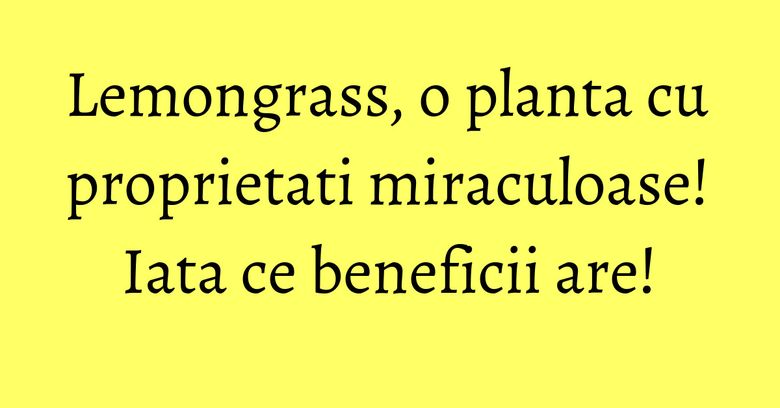 Lemongrass, o planta cu proprietati miraculoase! Iata ce beneficii are!