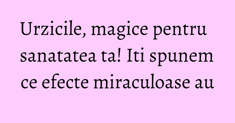Urzicile, magice pentru sanatatea ta! Iti spunem ce efecte miraculoase au Urzicile, magice pentru sanatatea ta! Iti spunem ce efecte miraculoase au