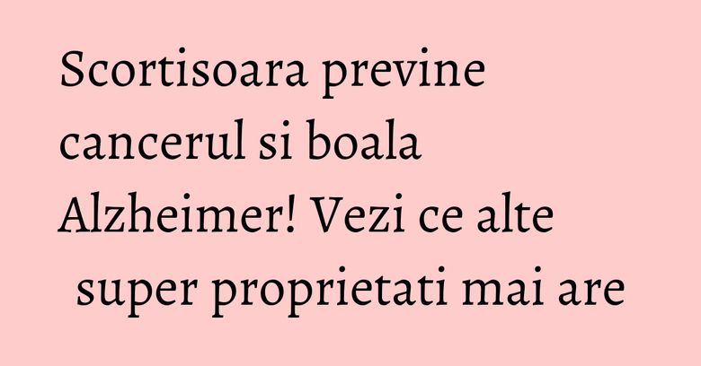 Scortisoara previne cancerul si boala Alzheimer! Vezi ce alte super proprietati mai are Scortisoara previne cancerul si boala Alzheimer! Vezi ce alte super proprietati mai are
