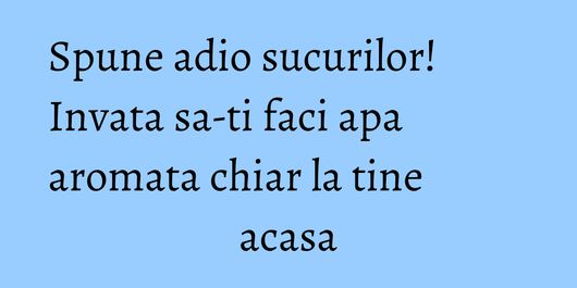 Spune adio sucurilor! Invata sa-ti faci apa aromata chiar la tine acasa