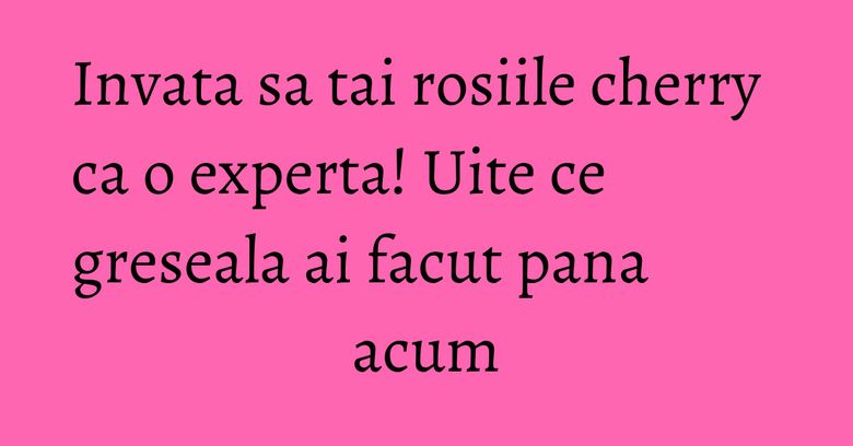 Invata sa tai rosiile cherry ca o experta! Uite ce greseala ai facut pana acum