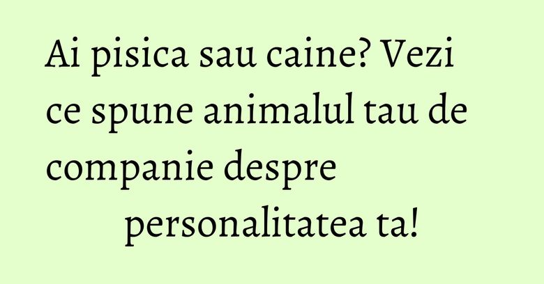 Ai pisica sau caine? Vezi ce spune animalul tau de companie despre personalitatea ta! Ai pisica sau caine? Vezi ce spune animalul tau de companie despre personalitatea ta!