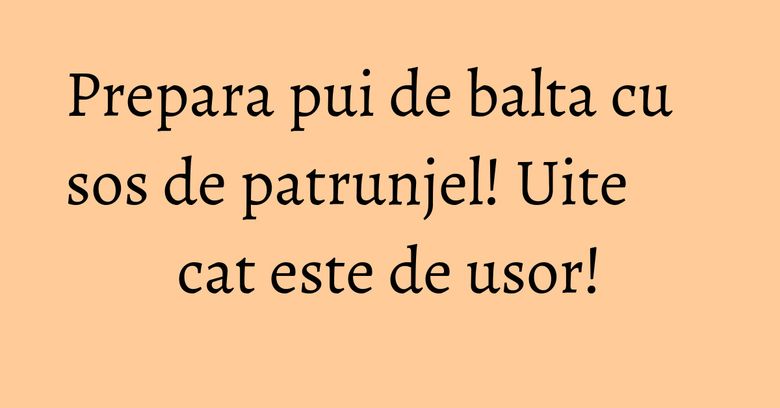 Prepara pui de balta cu sos de patrunjel! Uite cat este de usor! Prepara pui de balta cu sos de patrunjel! Uite cat este de usor!