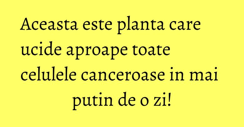 Aceasta este planta care ucide aproape toate celulele canceroase in mai putin de o zi!