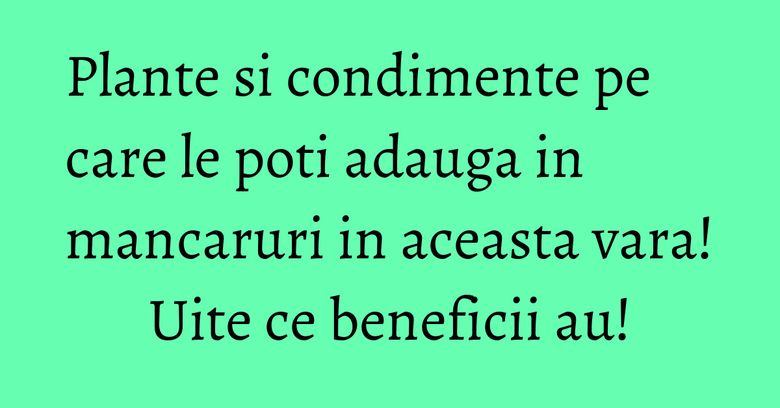 Plante si condimente pe care le poti adauga in mancaruri in aceasta vara! Uite ce beneficii au!