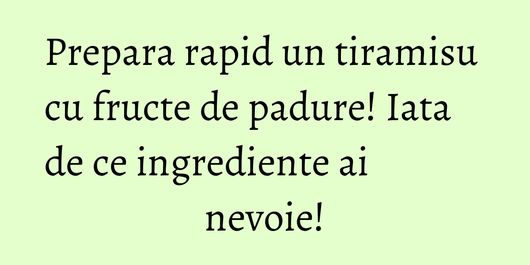 Prepara rapid un tiramisu cu fructe de padure! Iata de ce ingrediente ai nevoie!